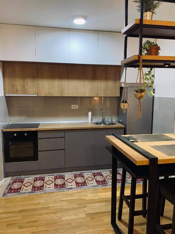 Newtown Apartment Нікшич Екстер'єр фото